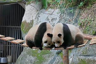 哲科晒照：向上是唯一的出路！梦想远大&未来充满着无限可能